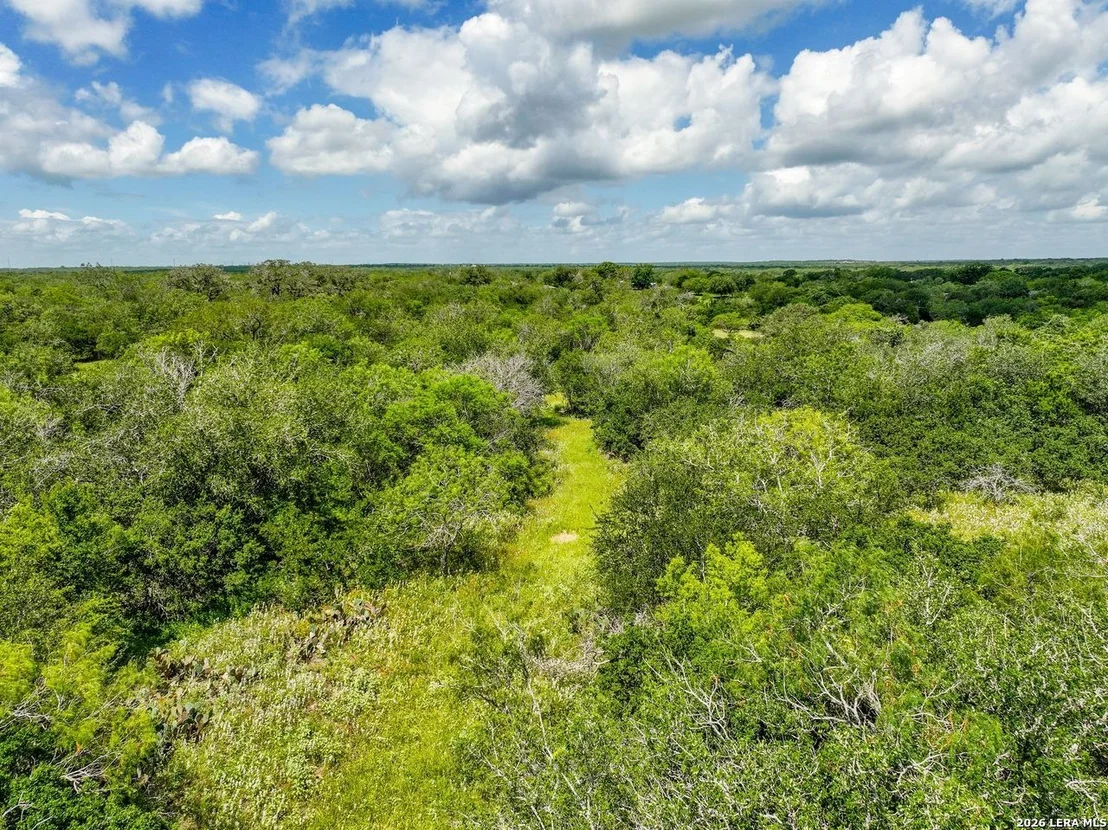 Photo of 237 County Road 393