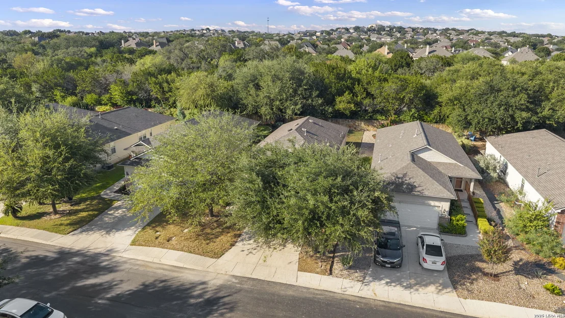 Photo of 12507 Desert Palm