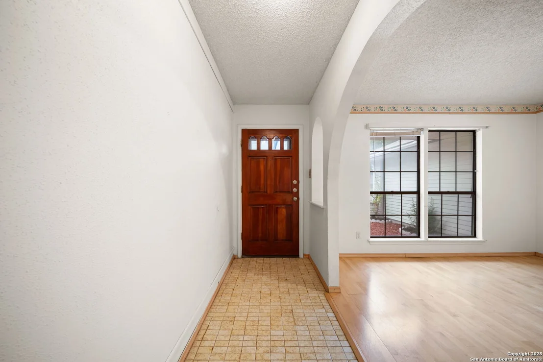 Photo of 1606 forest spring