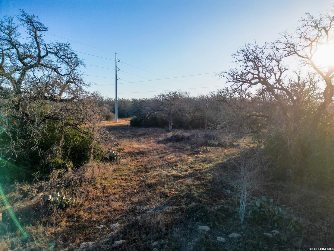 Photo of TBD Sandy Pine