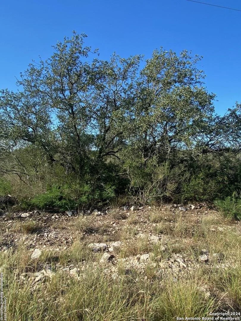 Photo of 24 FRIENDSHIP HILLS CIR