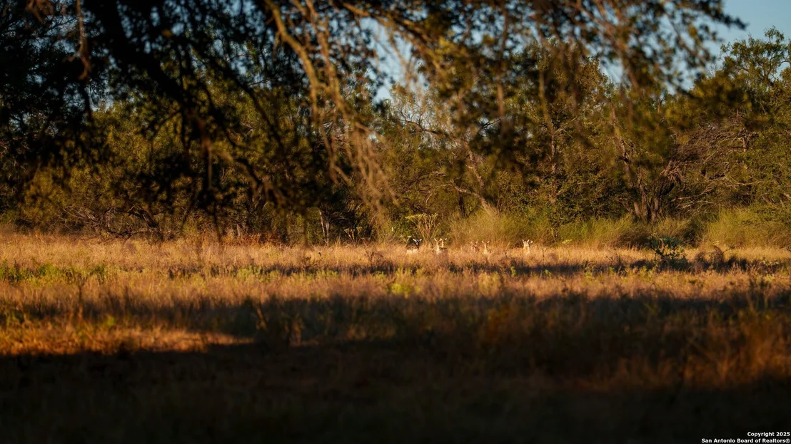 Photo of 7702 ranch road 965