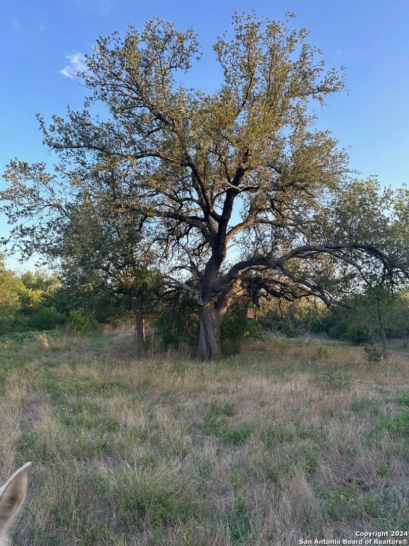 Photo of 000 County Road 562