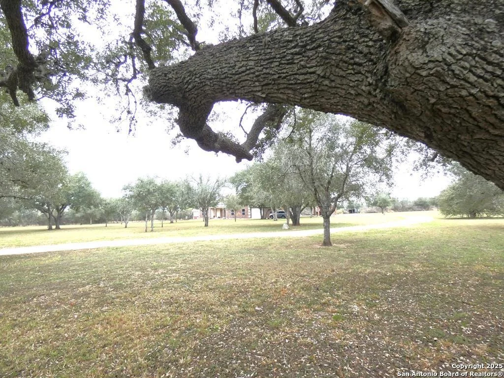 Photo of 283 Live Oak Rd