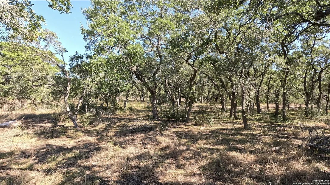 Photo of 34672 Ansley Ridge