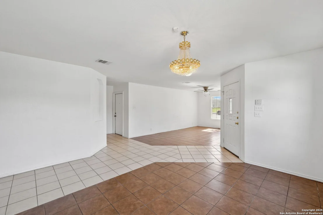 Photo of 284 Texas Mulberry