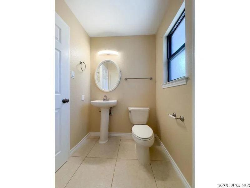 Photo of 16503 Fancy Saddle
