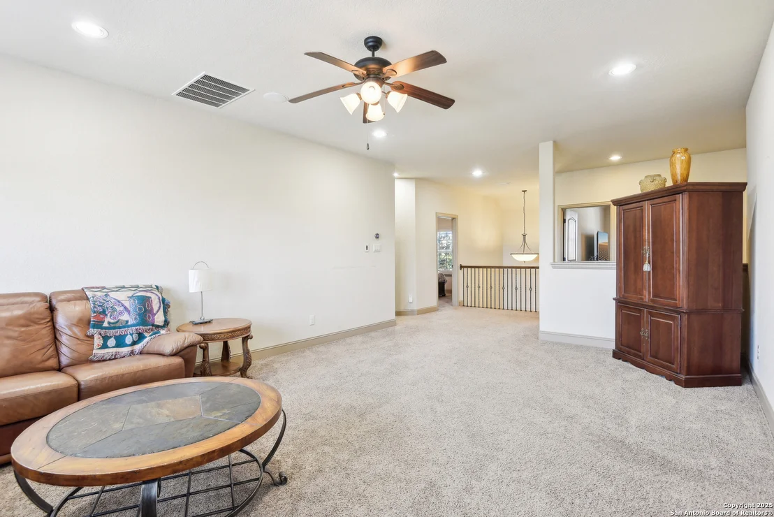Photo of 25612 Santolina