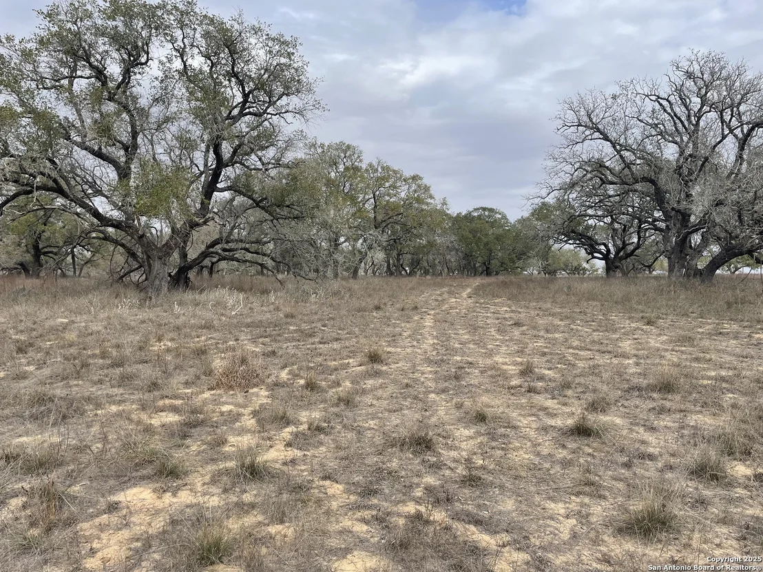 Photo of TRACT 10 COUNTY ROAD 777
