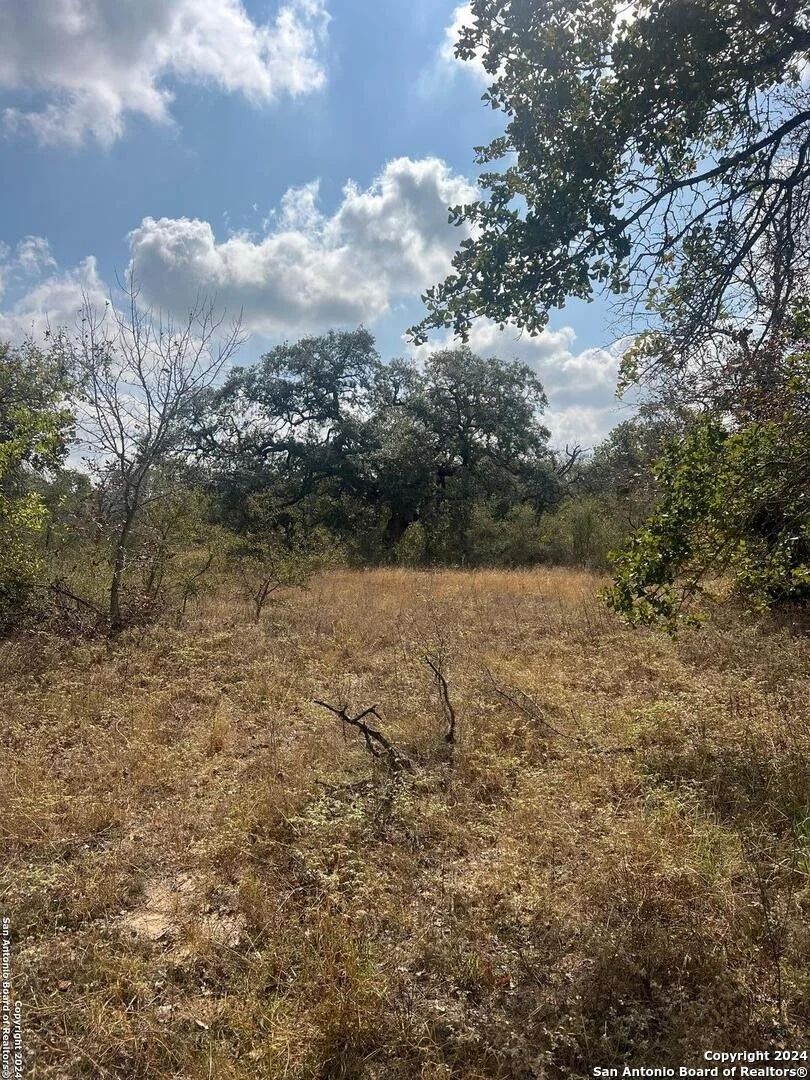 Photo of 1155 Clear lake loop