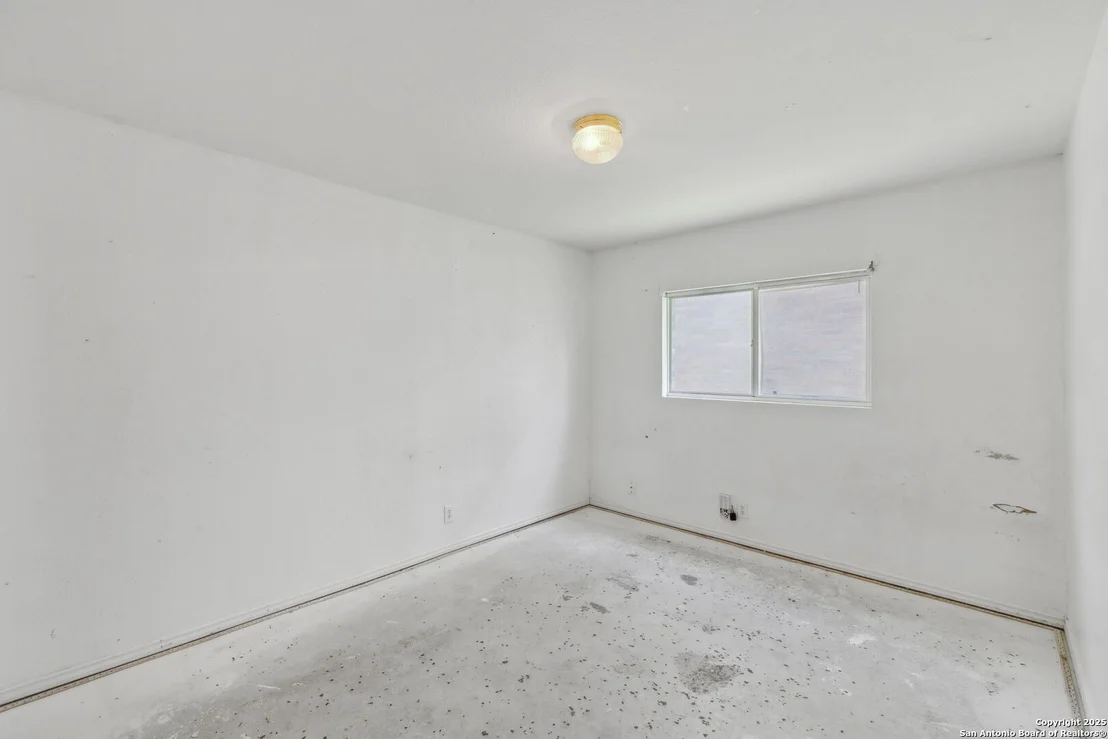 Photo of 284 Texas Mulberry