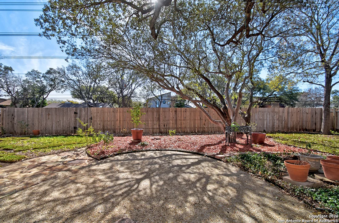 Photo of 2642 Rim Oak