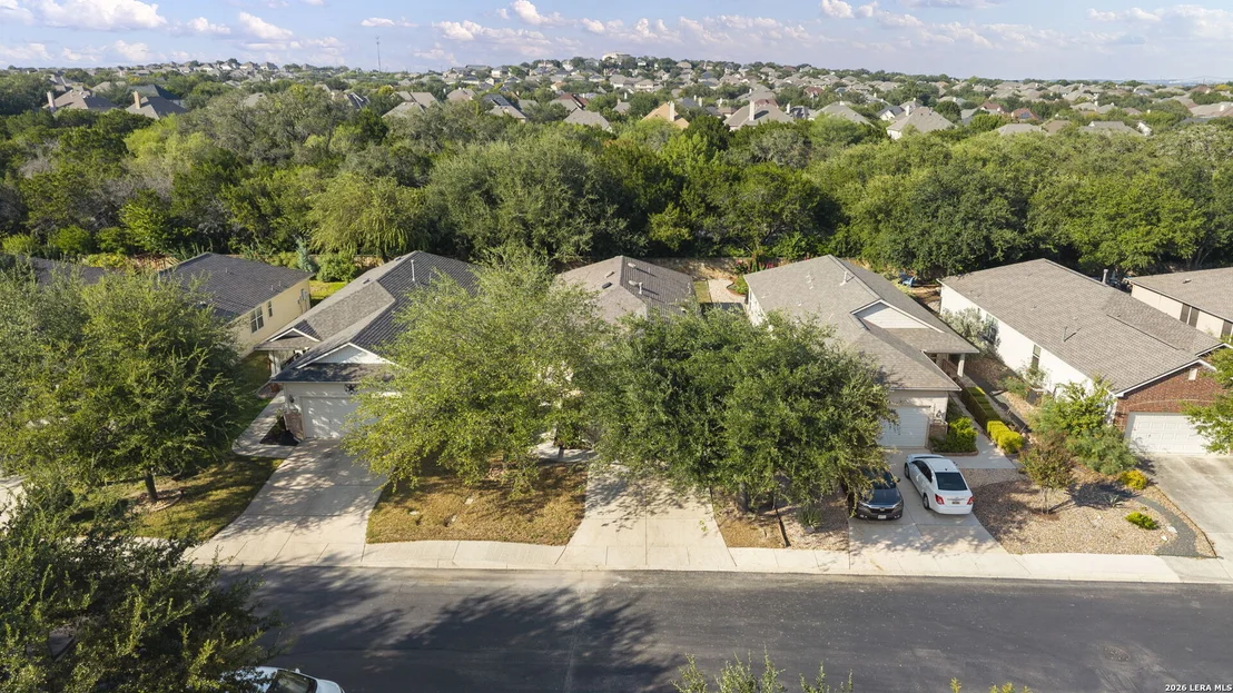 Photo of 12507 Desert Palm