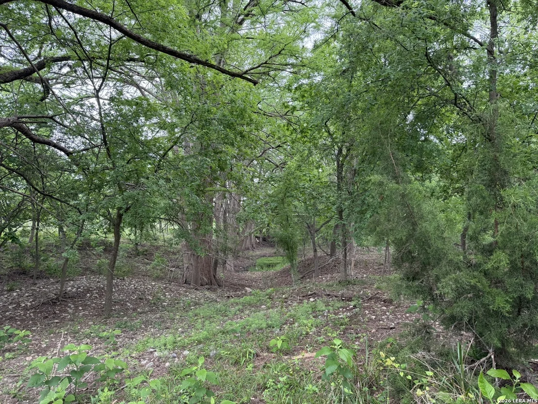 Photo of 261 River Dr