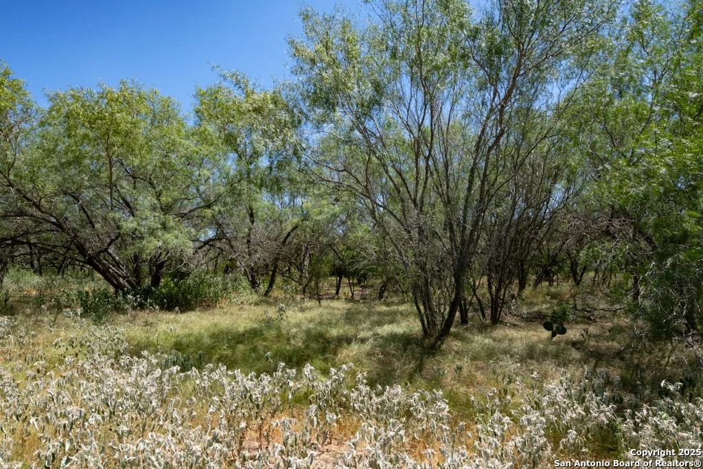 Photo of 19217 Applewhite
