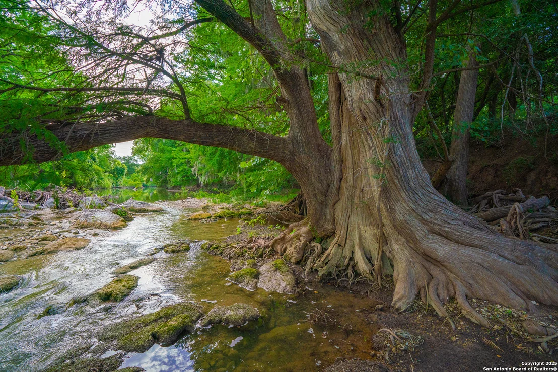 Photo of 103 Misty Waters