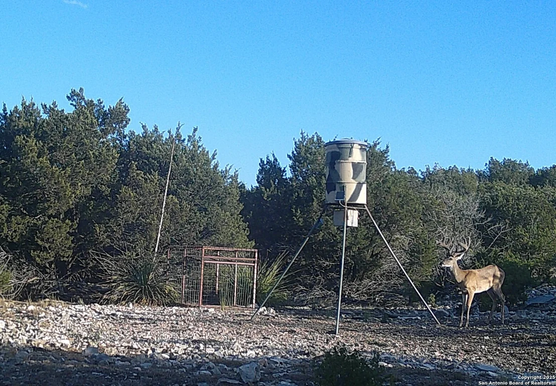 Photo of 1024 Sd 63005