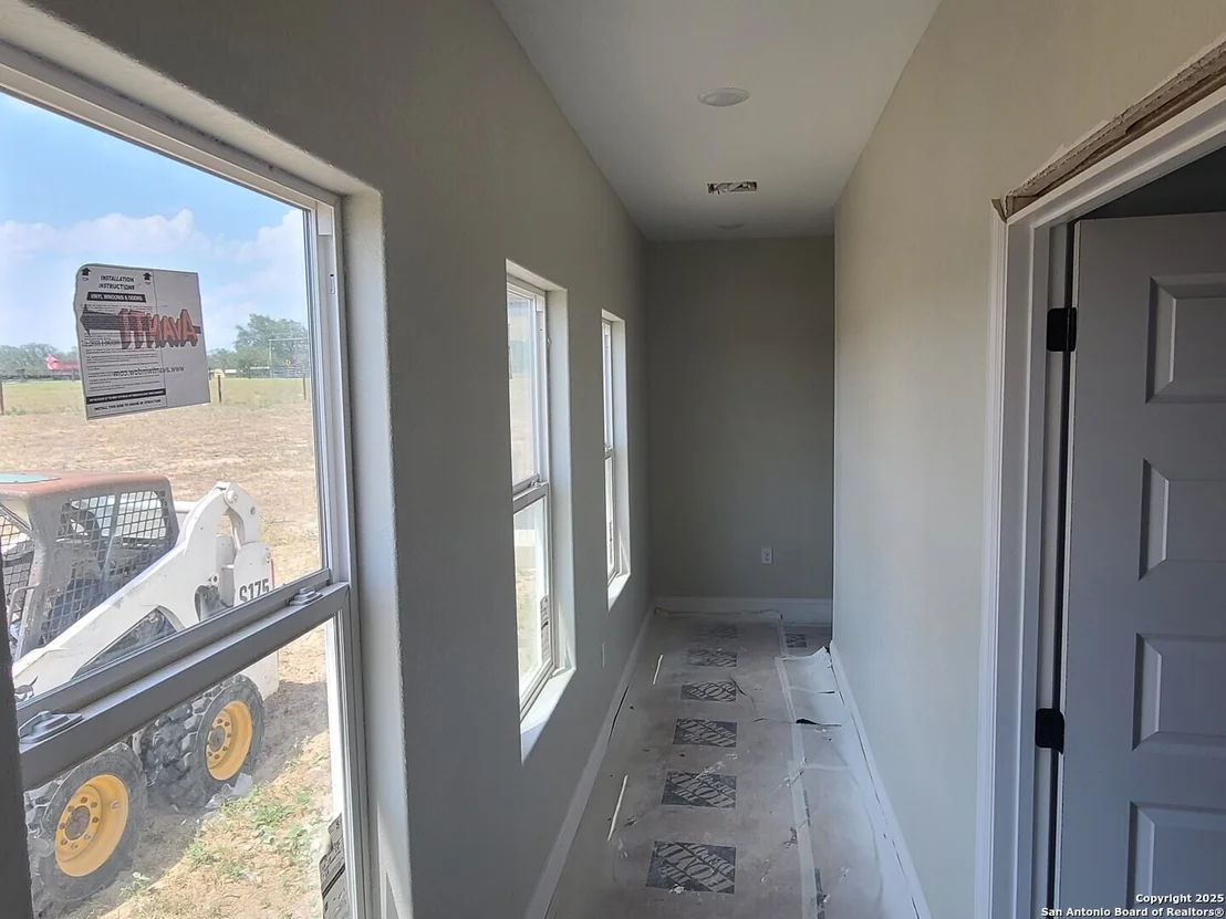 Photo of 52 Peach Tree
