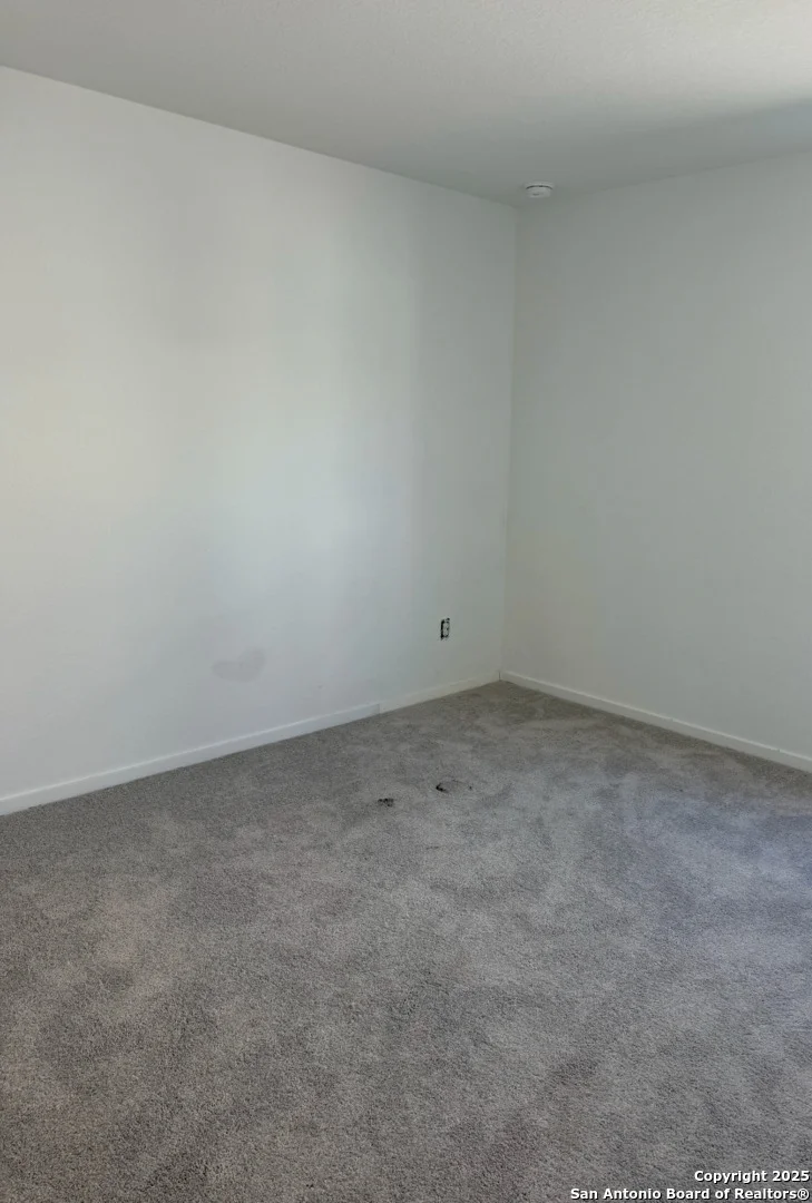Photo of 5739 alope