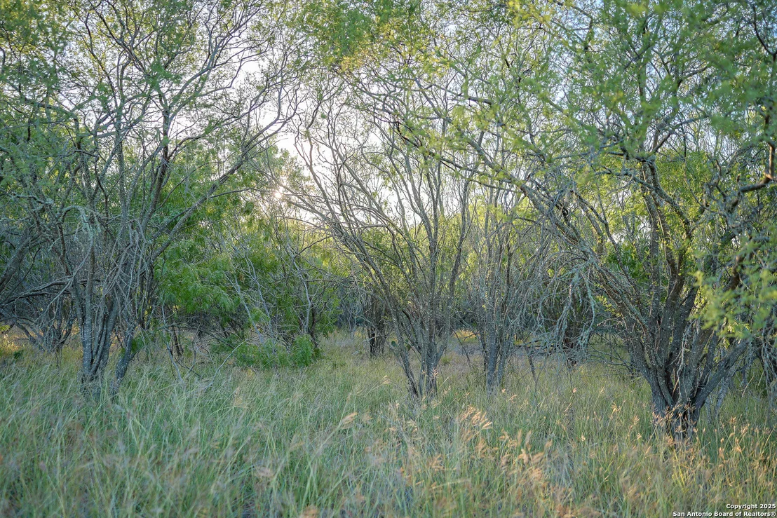 Photo of 6266 Highway 281