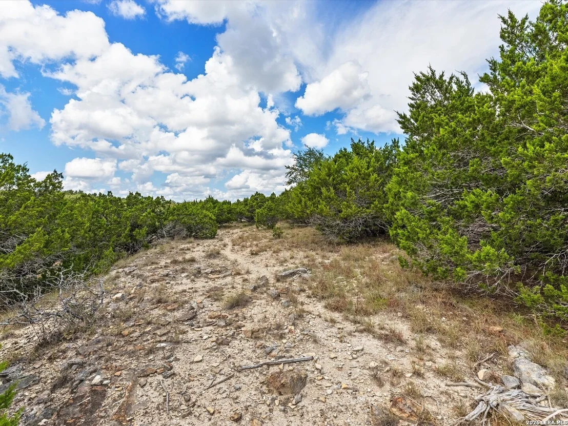 Photo of 331 RIDGE PT