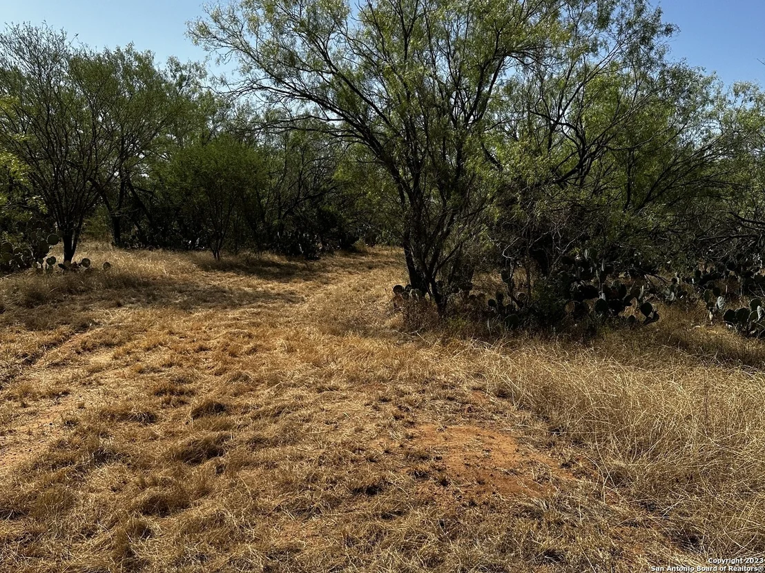 Photo of 157 CR 2644