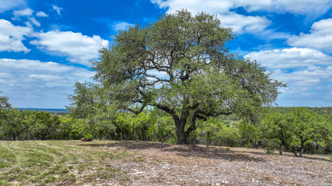 Photo of 12033 Summer Meadows