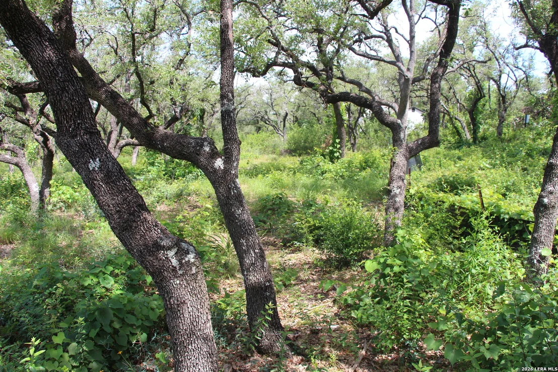 Photo of LOT 52 Clear Water Cyn