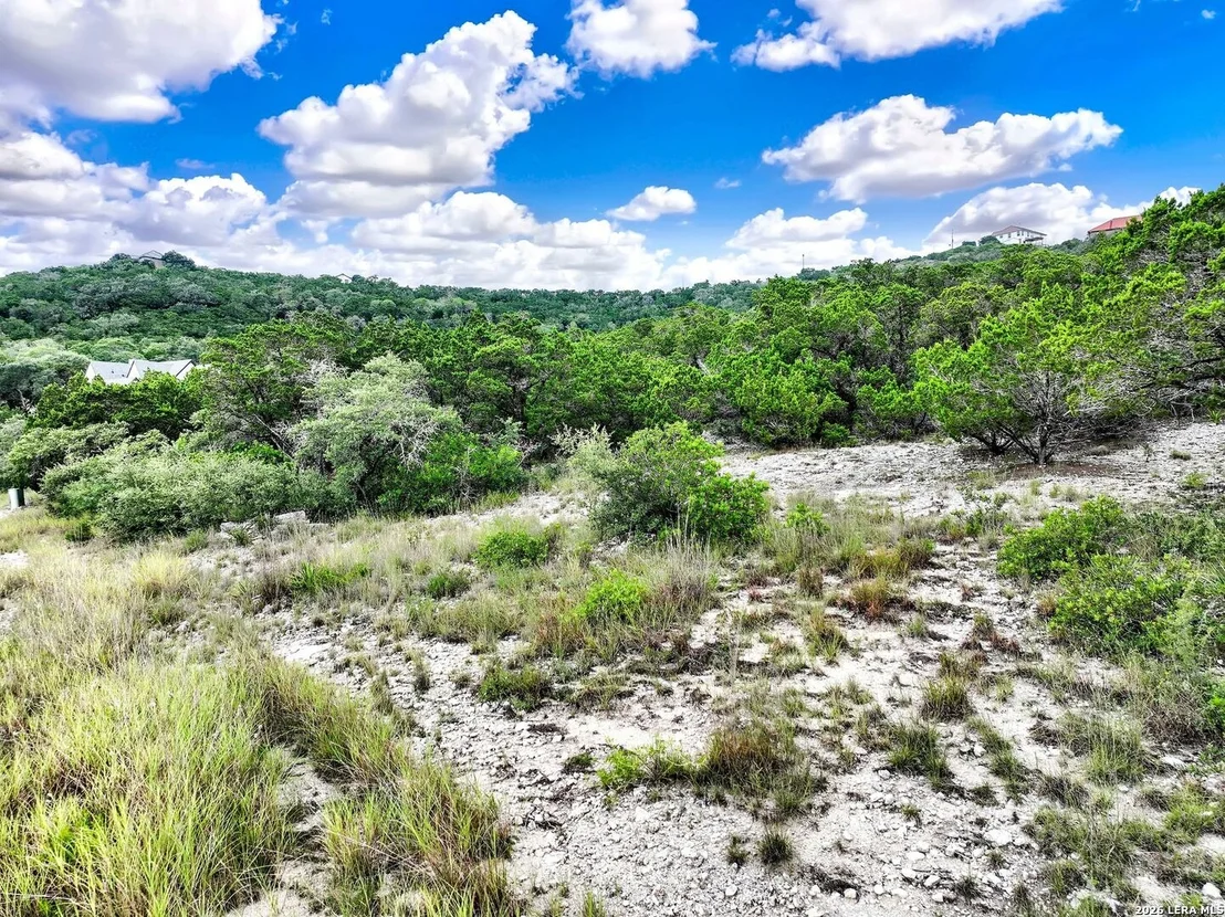 Photo of LOT 101 Pr 1712