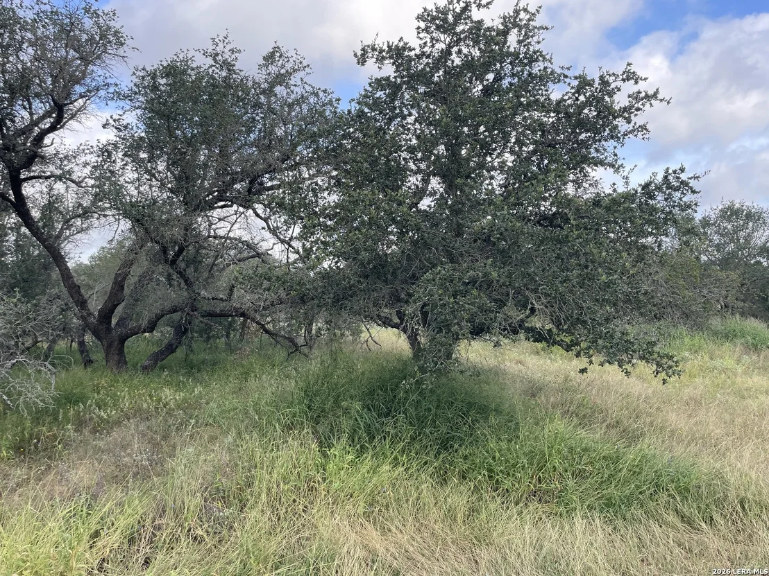 Photo of 1742 County Road 777
