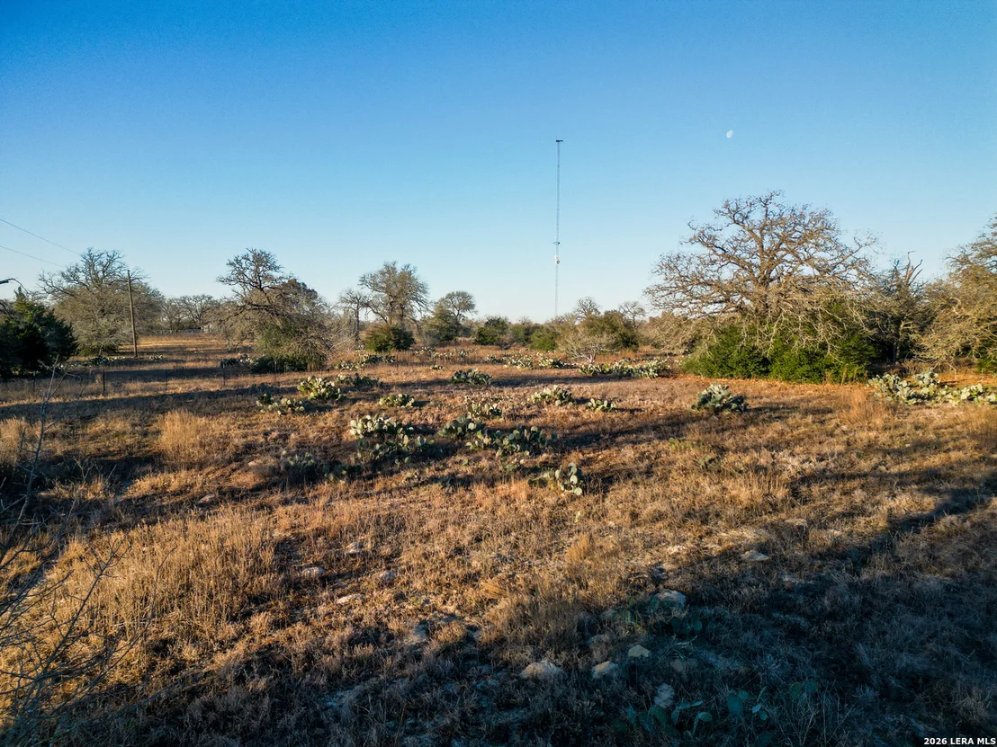 Photo of TBD Sandy Pine