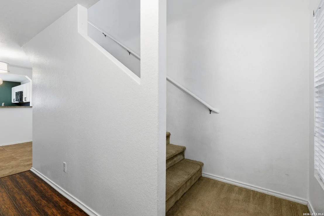 Photo of 154 Prato Palma