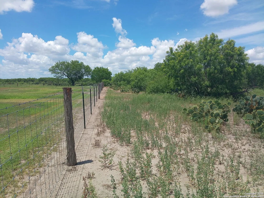 Photo of 137 County Road 302