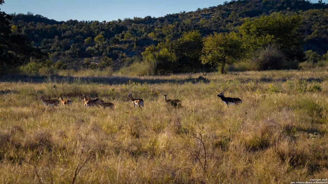 Photo of 7702 ranch road 965