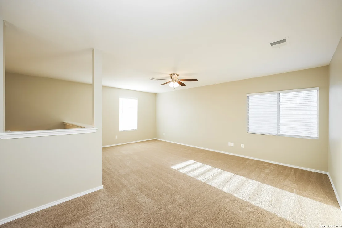 Photo of 122 Blue Juniper