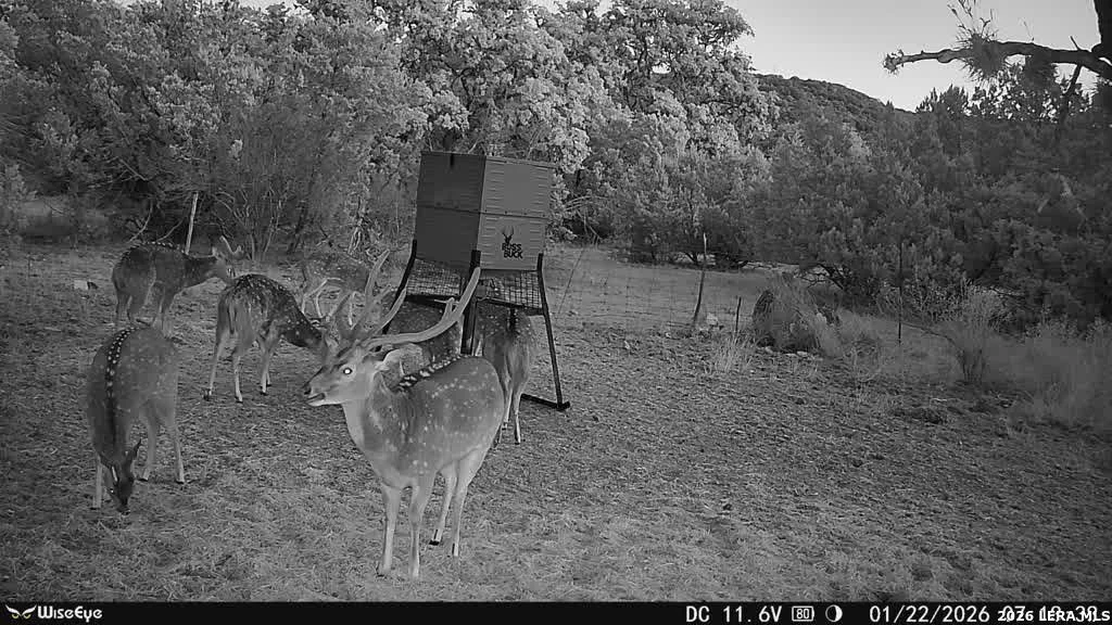 Photo of 000 RM 336
