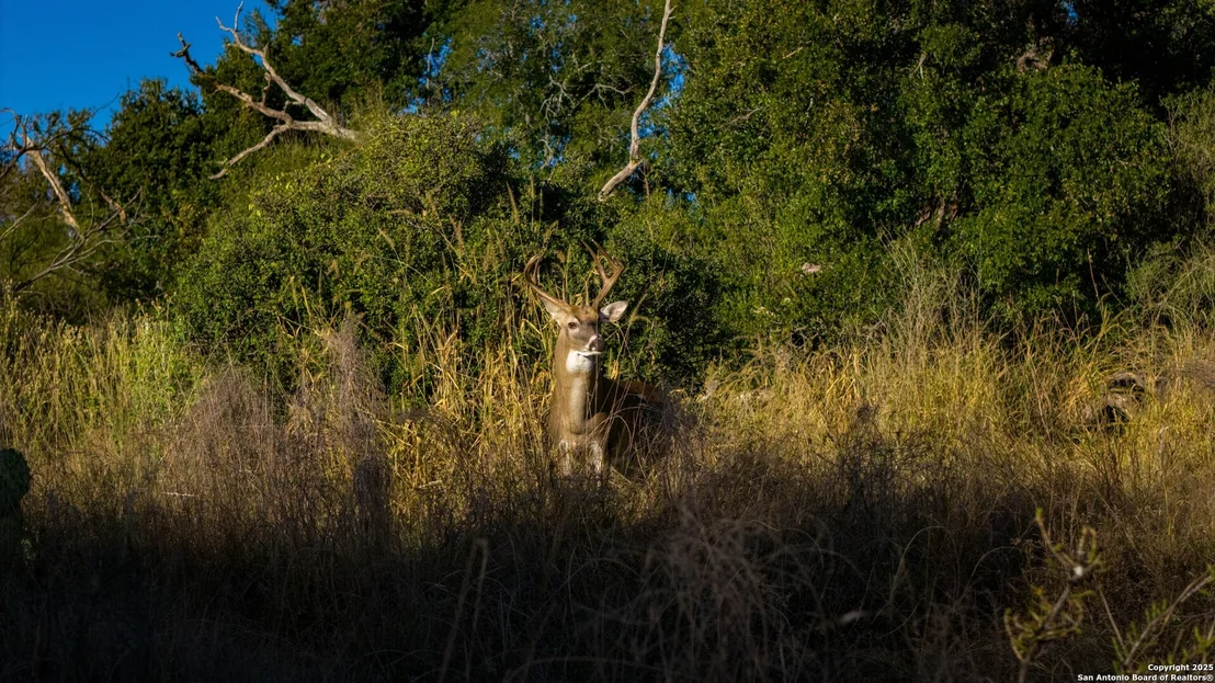Photo of 7702 ranch road 965