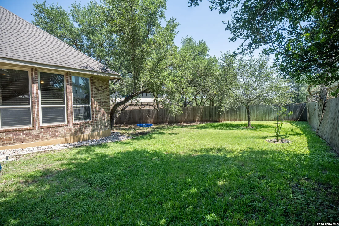 Photo of 25603 Santolina