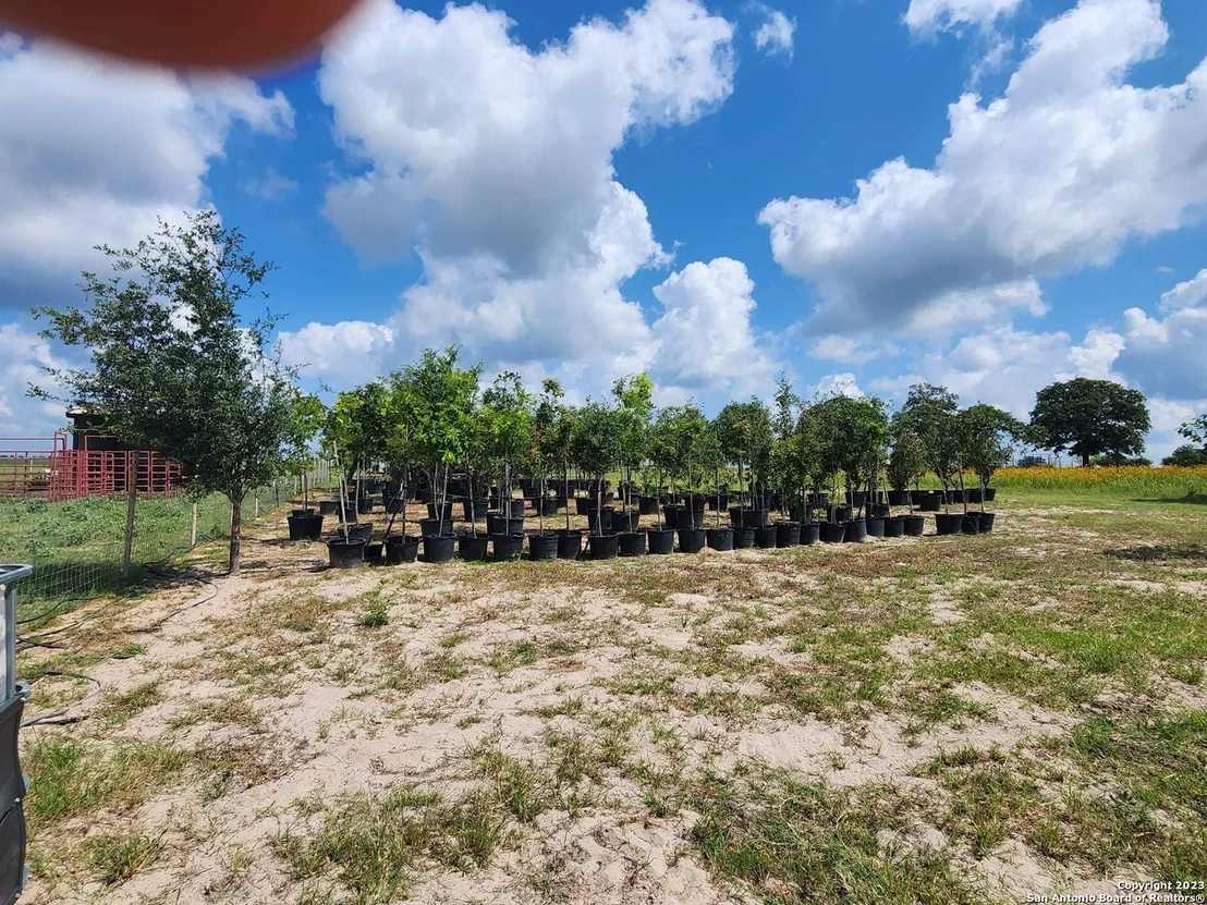 Photo of 1208 COUNTY ROAD 317