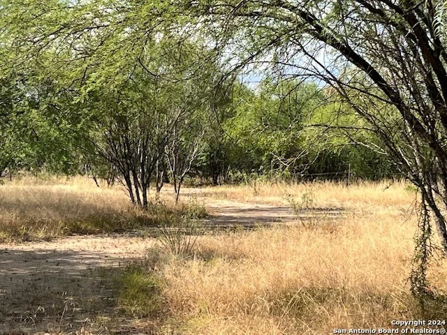 Photo of LOT 94 Pr 2320