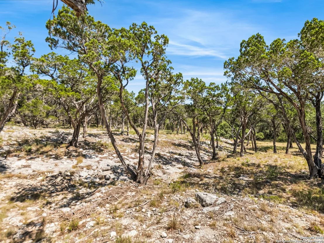Photo of 2553 GEORGE PASS