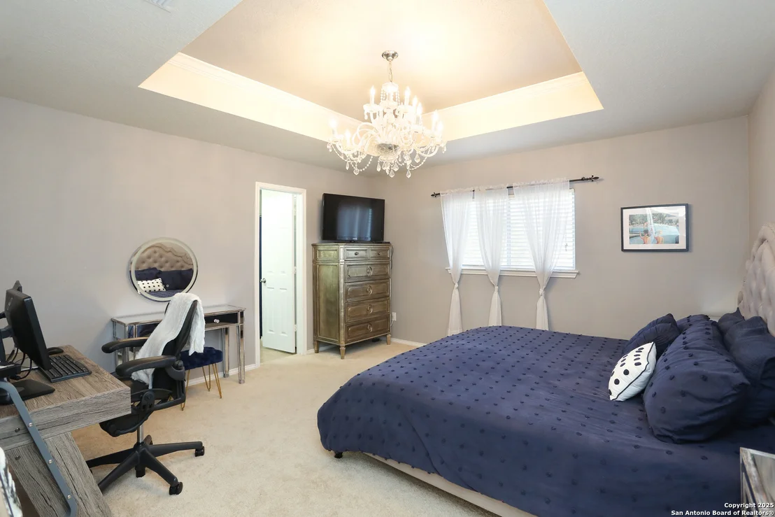 Photo of 142 Prato Palma