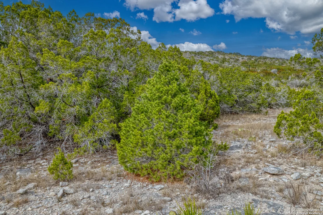 Photo of 25 SD 65065  Dusty Rose Ranch