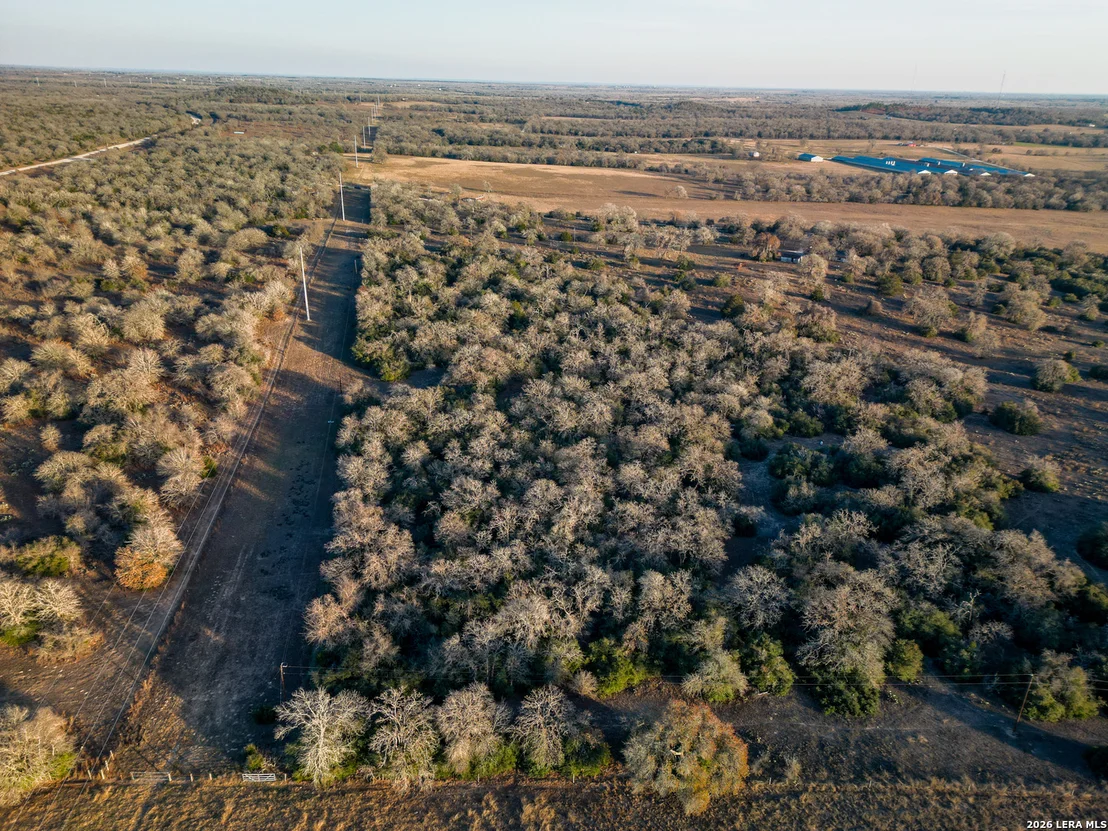 Photo of TBD Sandy Pine