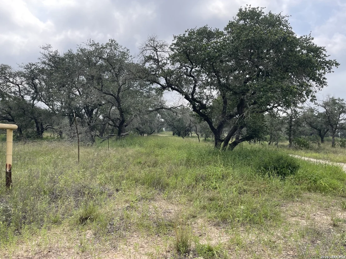 Photo of TRACT#8 12.31A County Road 777