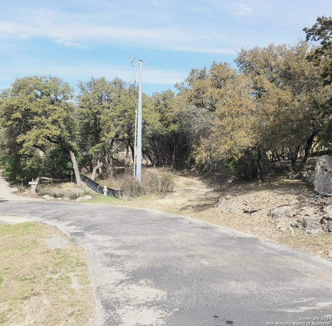 Photo of 14465 CHINQUAPIN