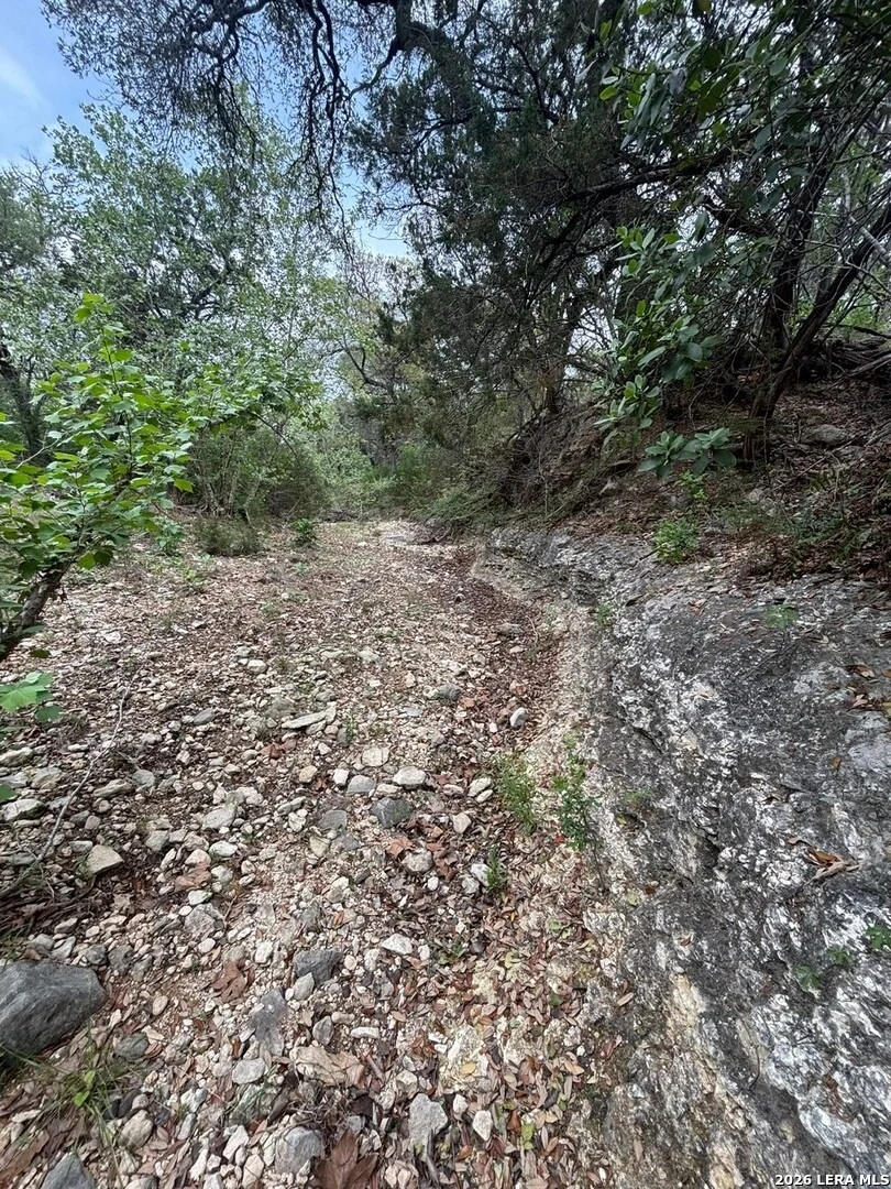 Photo of 595 CANYON FRST