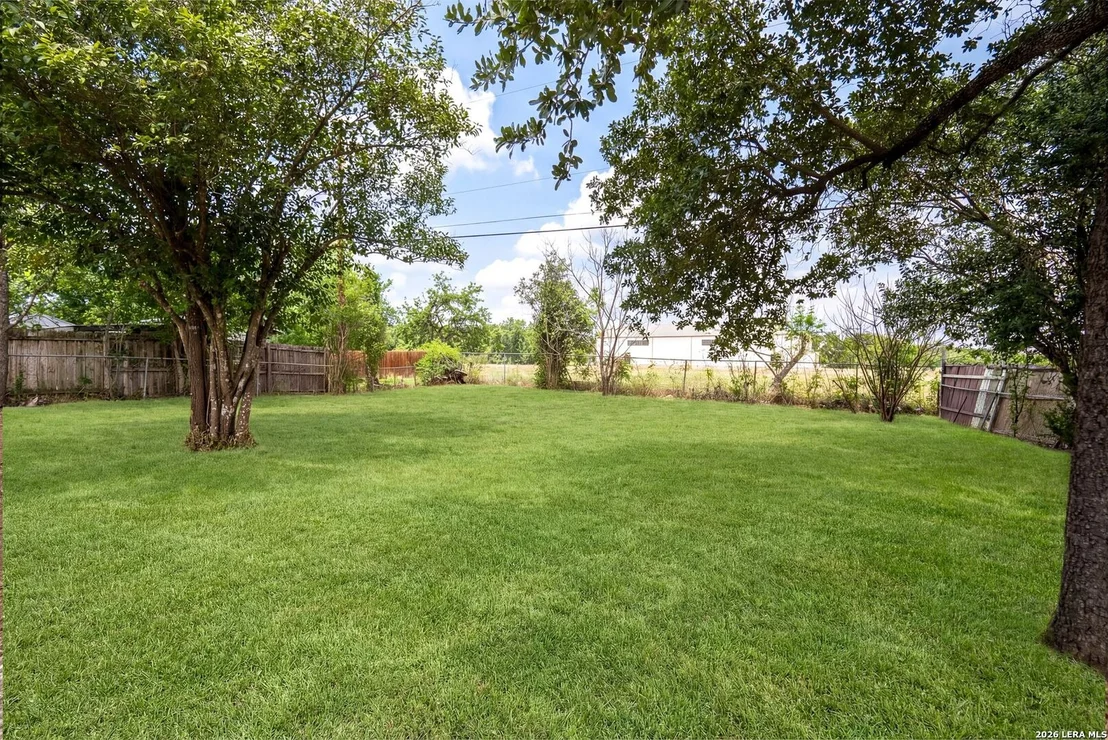 Photo of 3131 Whitewing