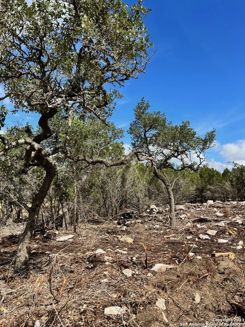 Photo of 463 Ranch Pass