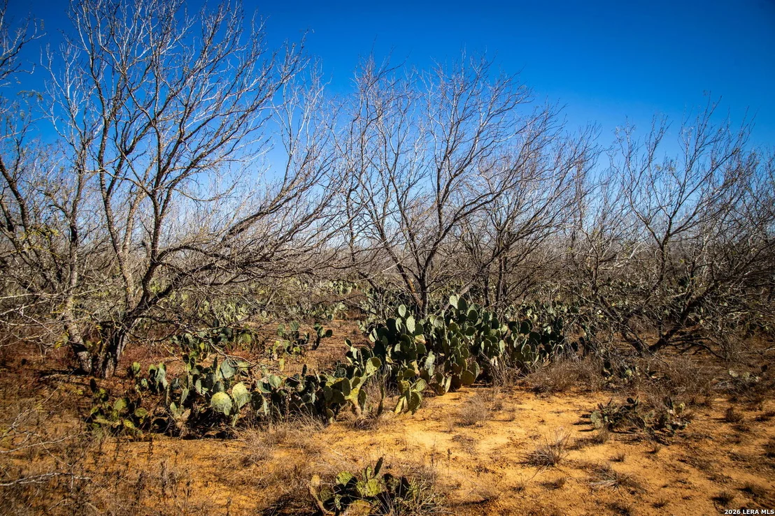 Photo of 320 county road 341